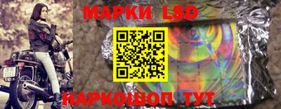 прущие крисы Кингисепп