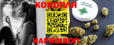 прущие крисы Кингисепп