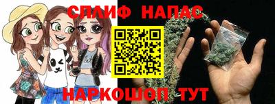 прущие крисы Кингисепп