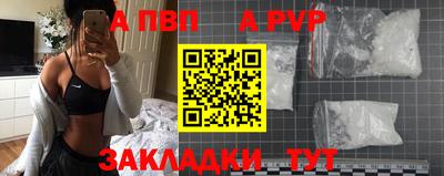 прущие крисы Кингисепп