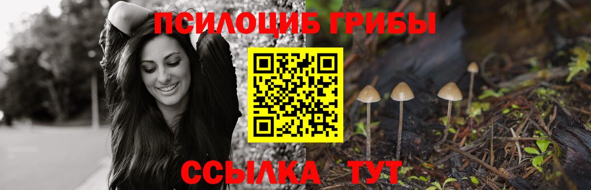 Химки  Галлюциногенные грибы прущие грибы  Вход с VPN 
